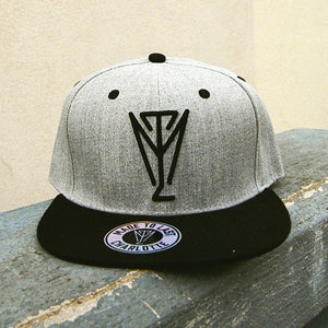 Grey Symbol Snapback Hat